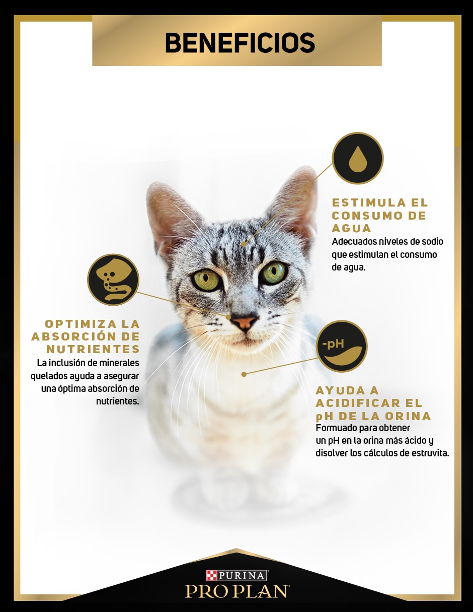Croqueta de Pollo para gato etapa adulto contenido 7.5 kg 3