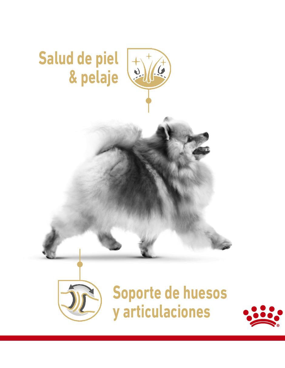 Croqueta de pollo para perro raza pequeña etapa adulto contenido individual 4
