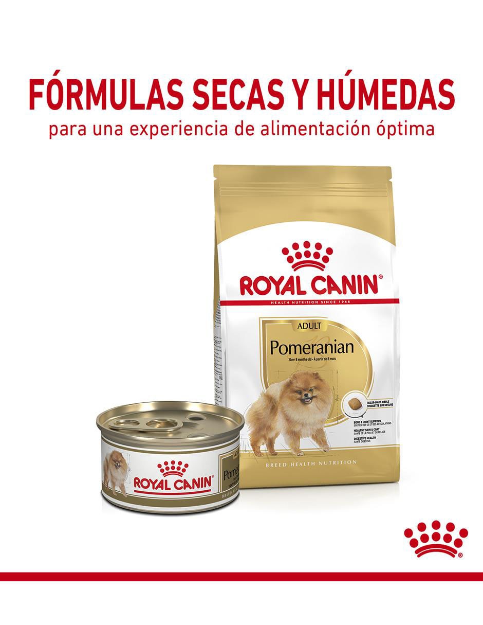 Croqueta de pollo para perro raza pequeña etapa adulto contenido individual 7