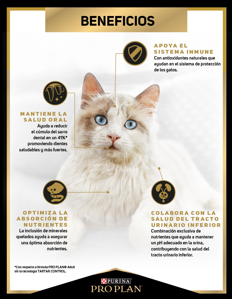 Croqueta de Carne con pollo para gato etapa adulto contenido 1.5 kg 4