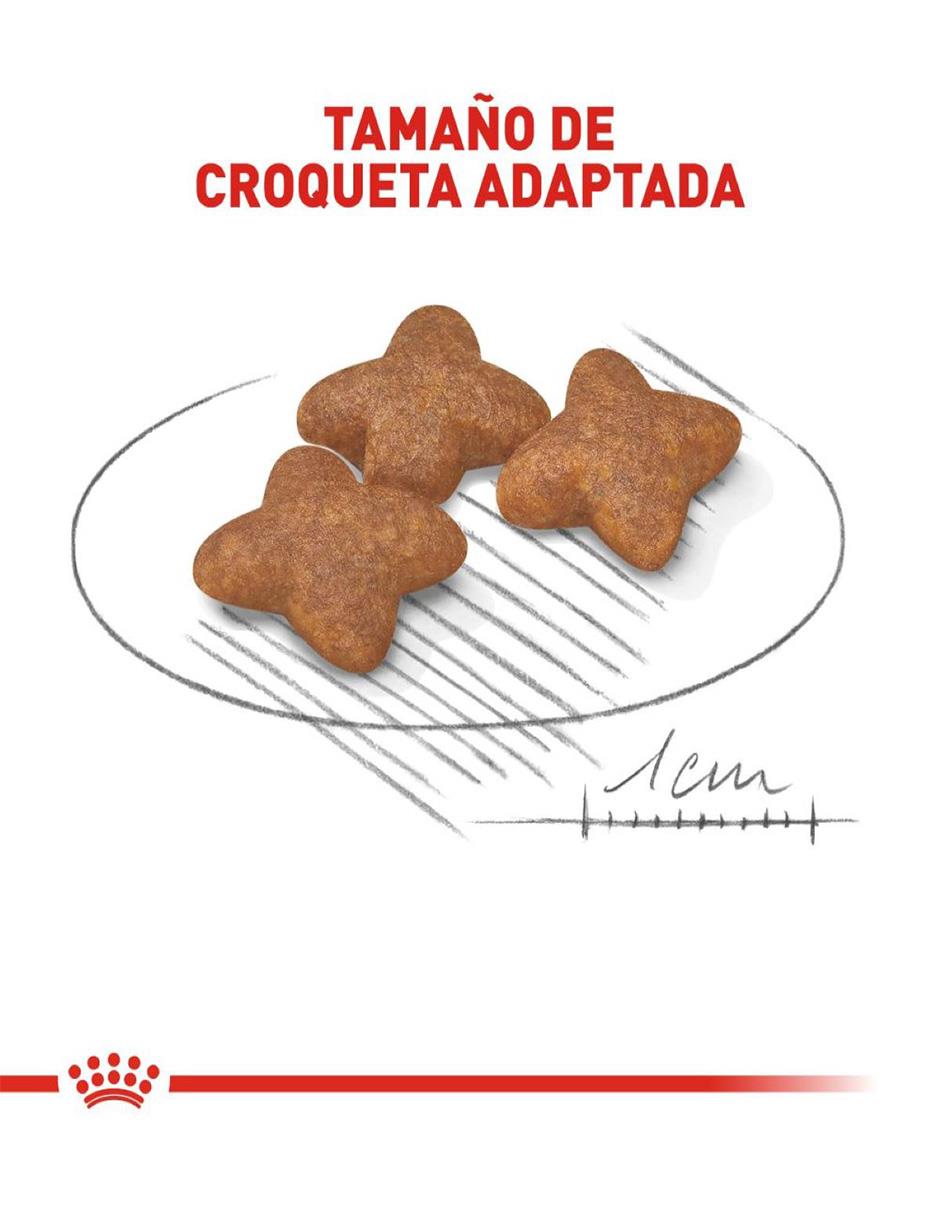 Croqueta de pollo para perro raza pequeña etapa adulto contenido individual 13.6 kg 4