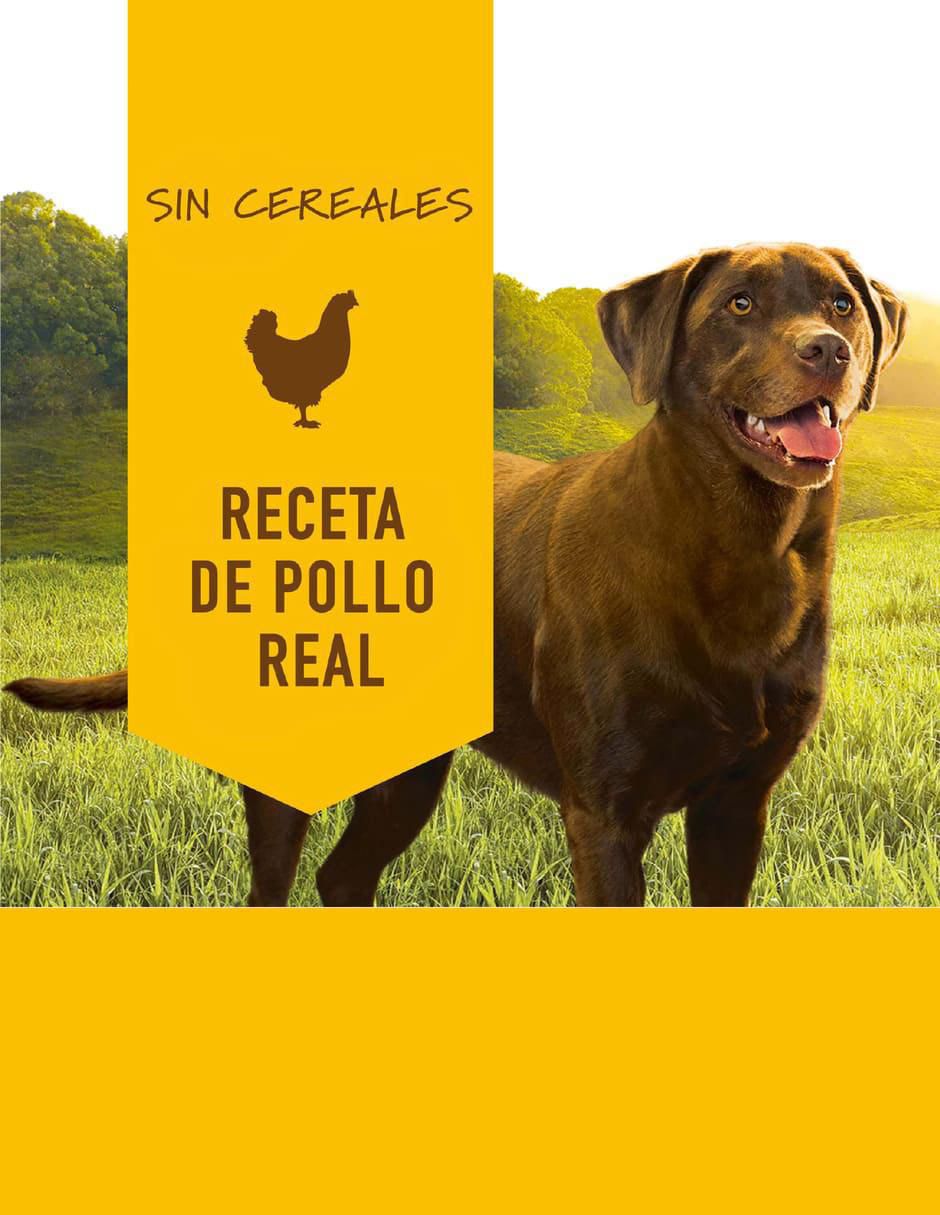 Alimento húmedo de Pollo para perro todas las etapas contenido 374 g 5