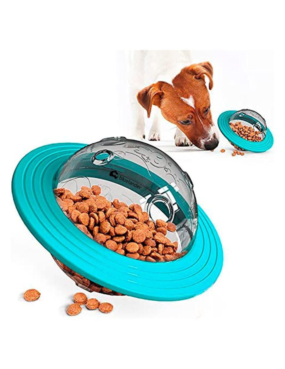 Plato para mascota 2