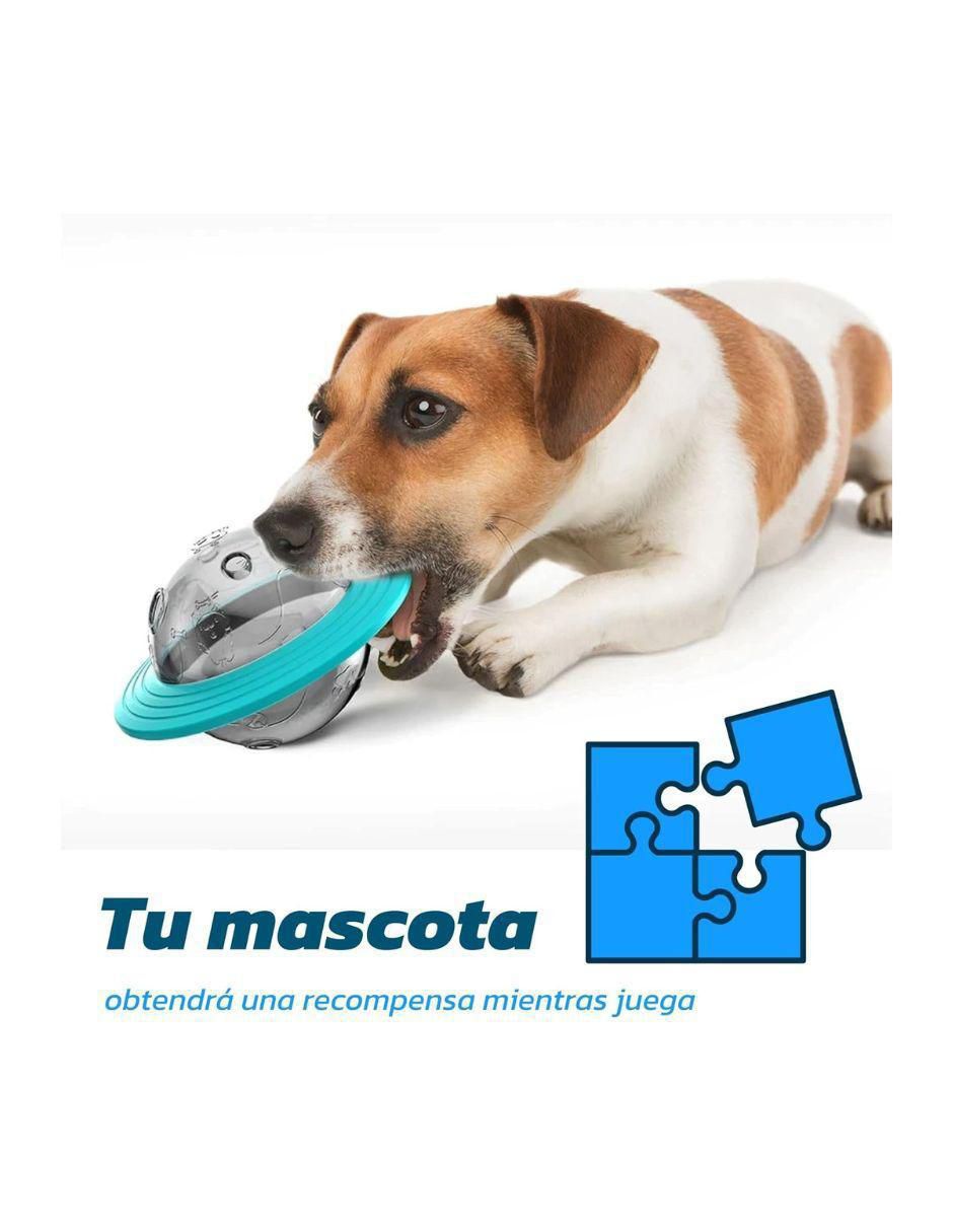 Plato para mascota 3