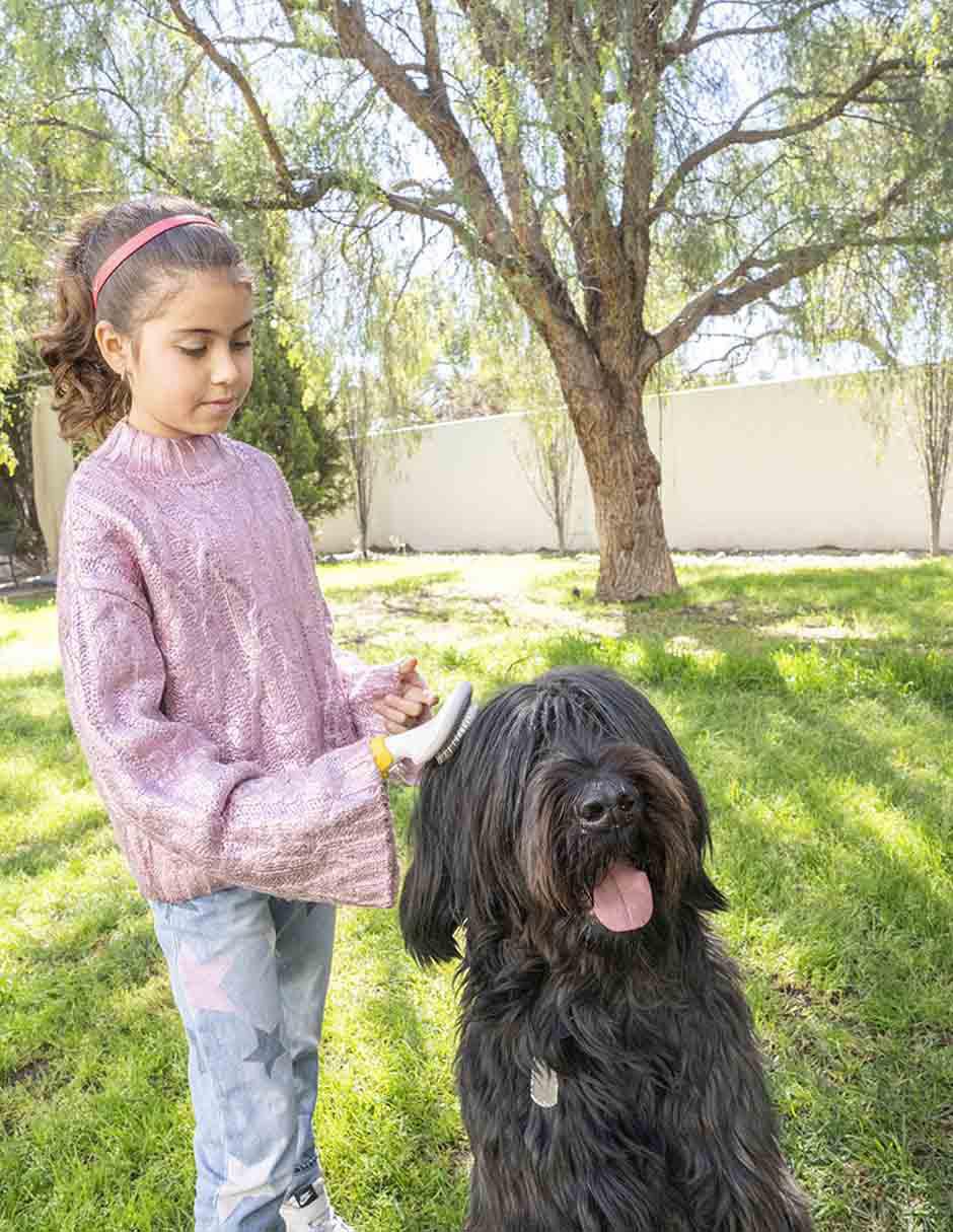 Cepillo de plástico para perro 6