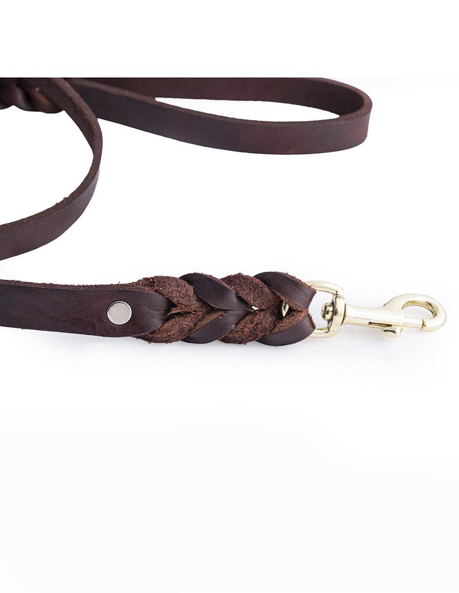 Correa Pet to Bed de piel para perro 6
