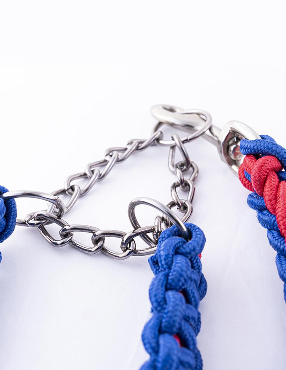Correa y collar de nylon para perro 2