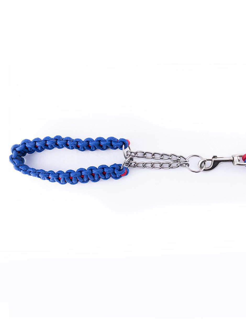 Correa y collar de nylon para perro 4