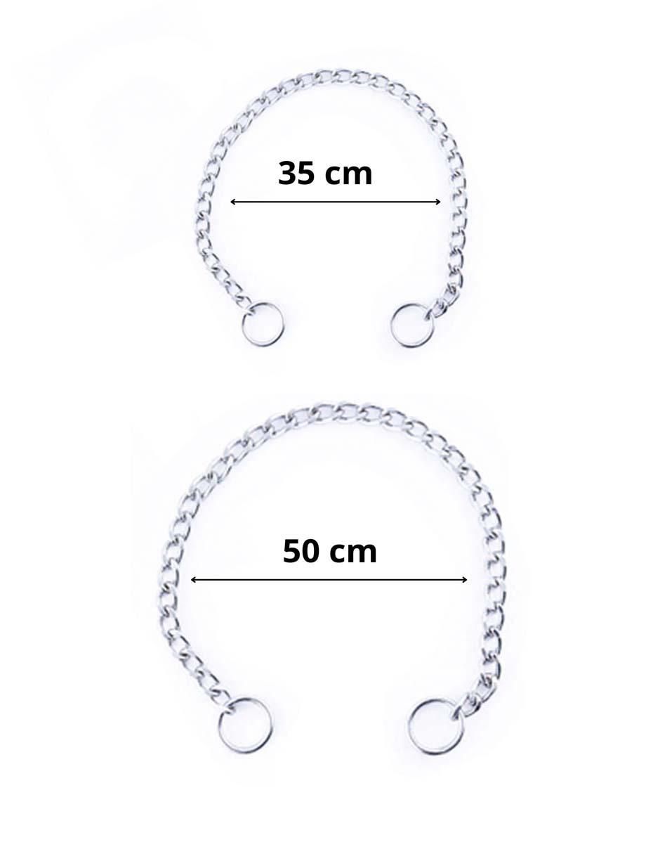 Collar Pet to Bed de acero para perro 5
