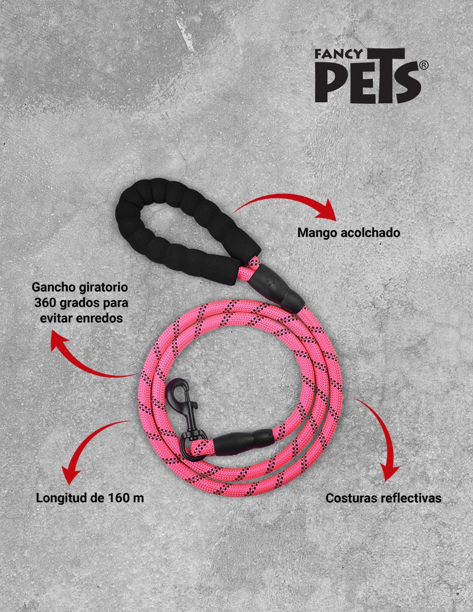 Correa para perro 2