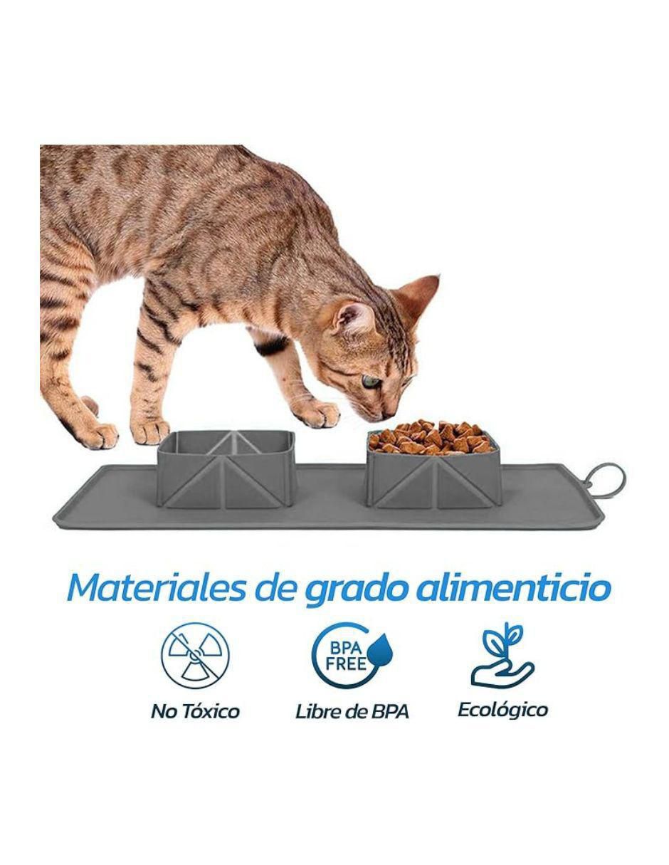 Plato para perro y gato 2