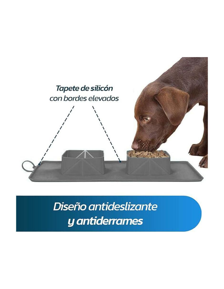 Plato para perro y gato 4