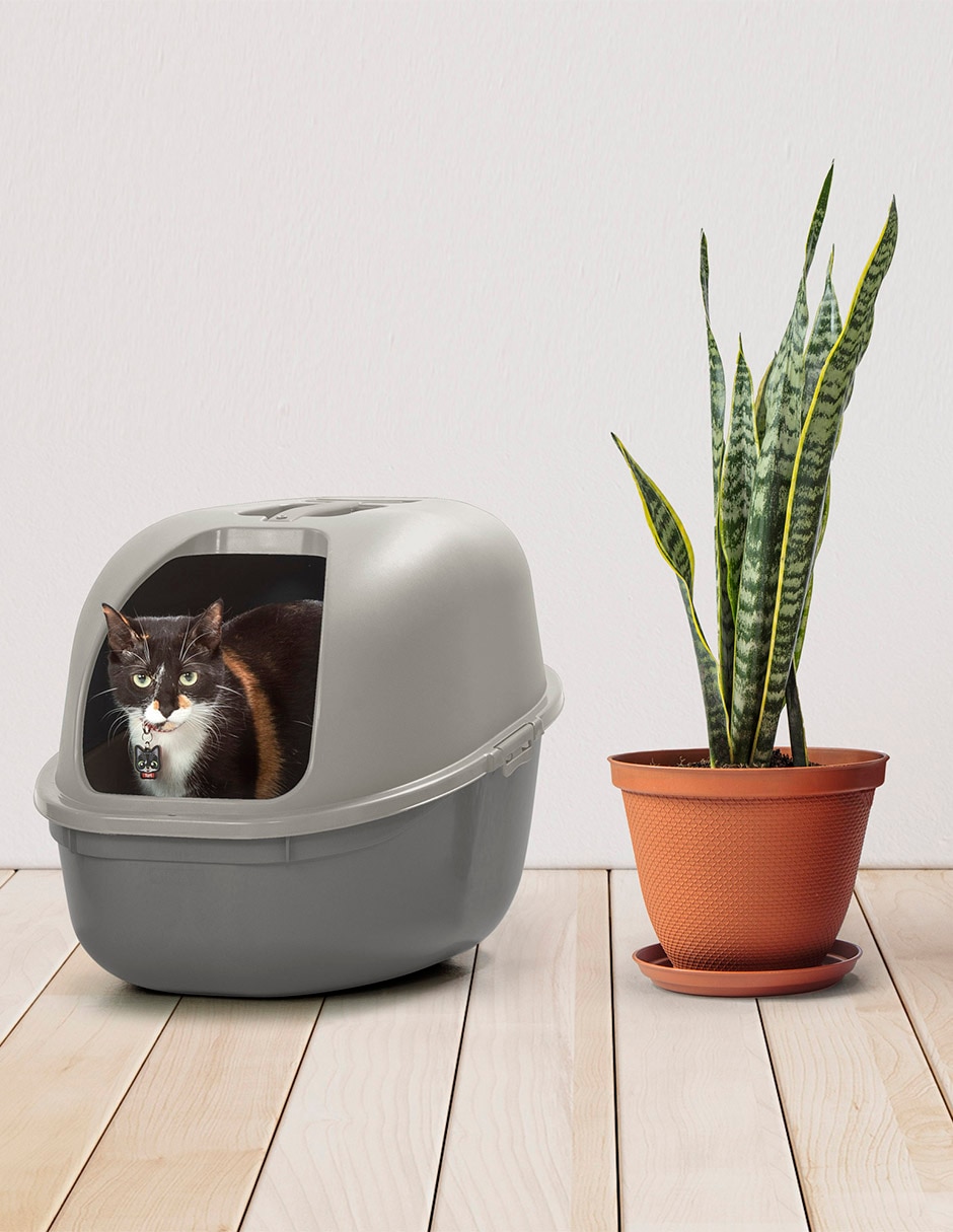 Arenero para gato 8