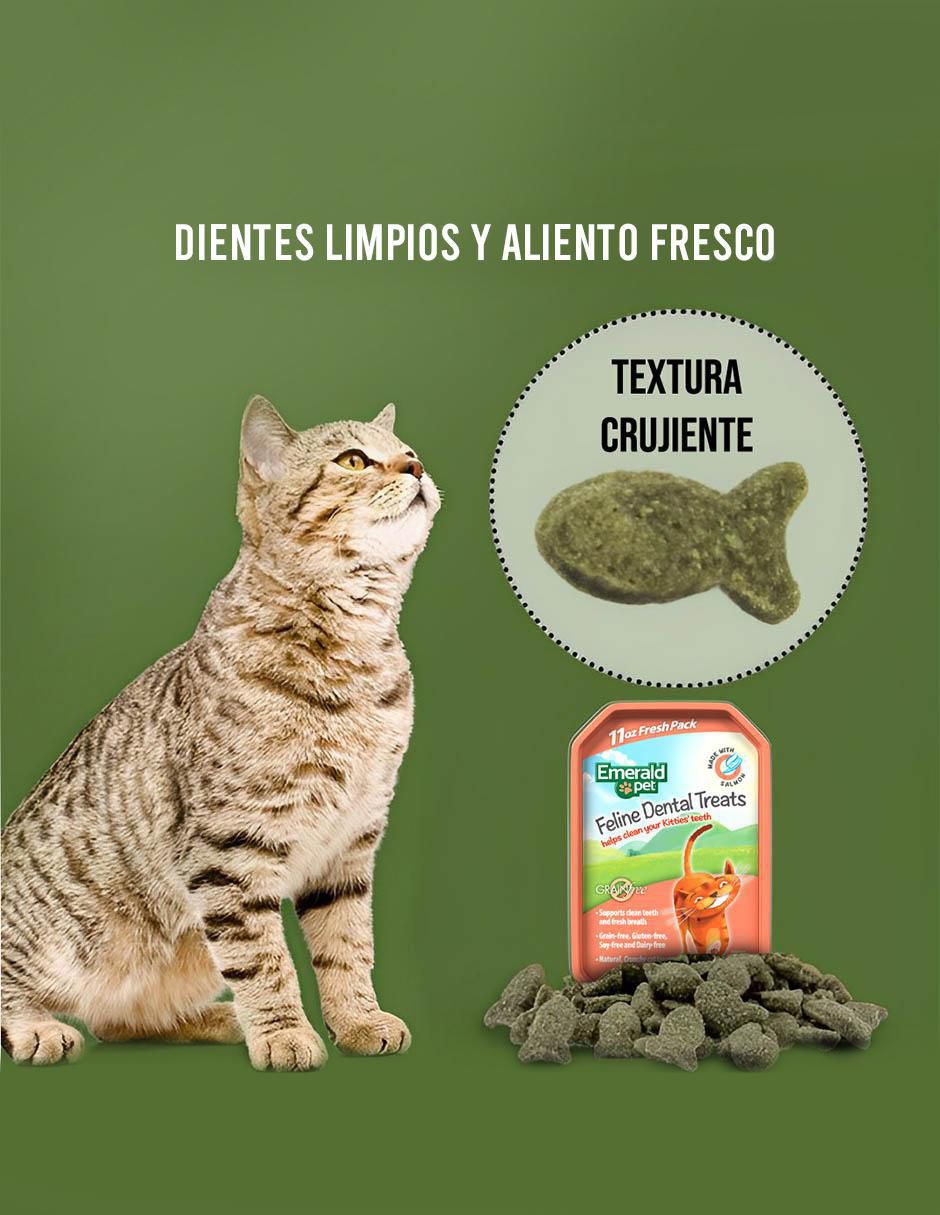 Premio de salmón cuidado dental para gato 312 g 2