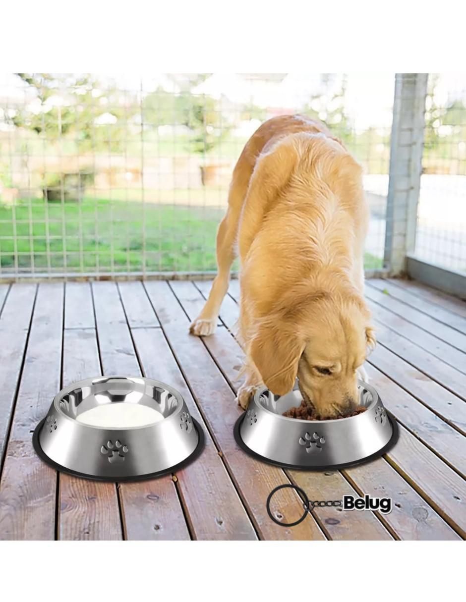 Comedero para perro y gato 4