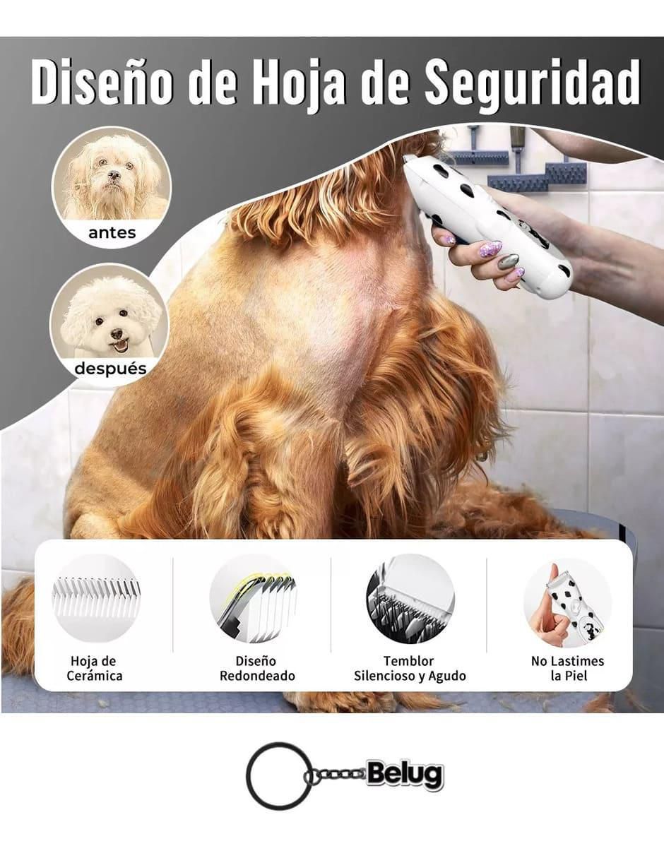 Rasuradora para perro y gato 2