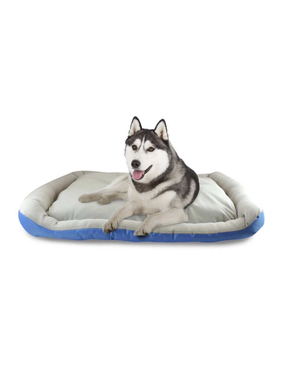 Cama para perro 2