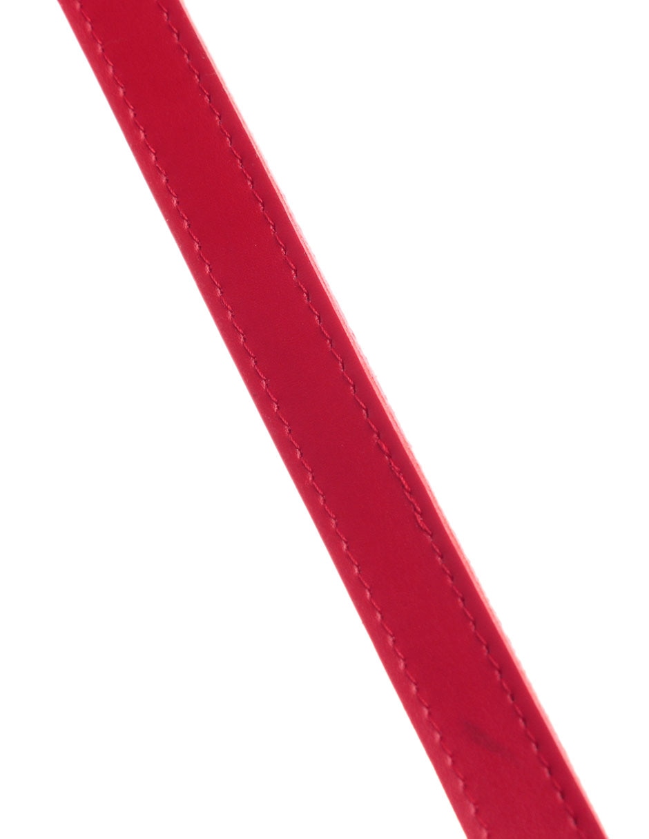 Correa de piel para perro 3