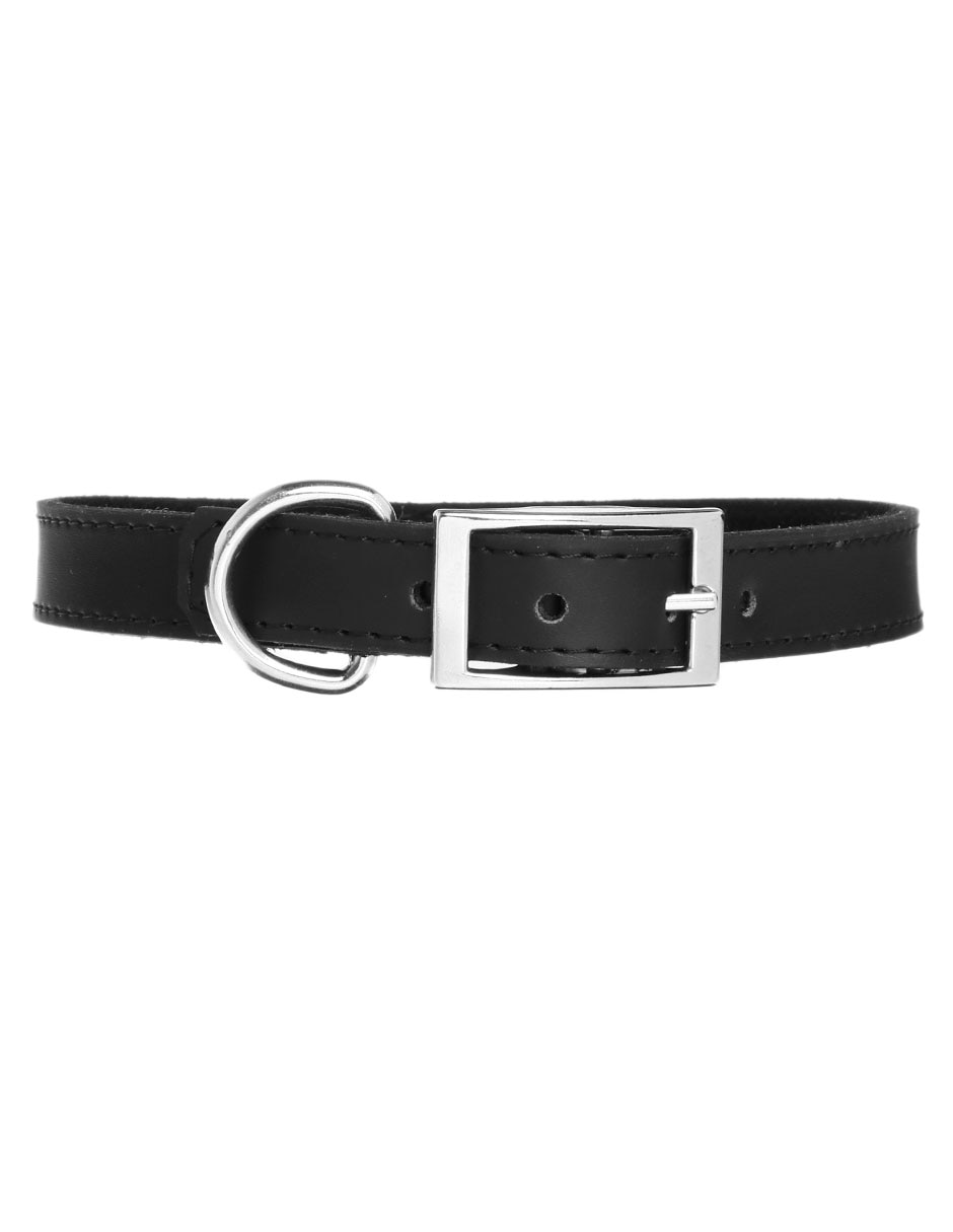 Collar de piel para perro