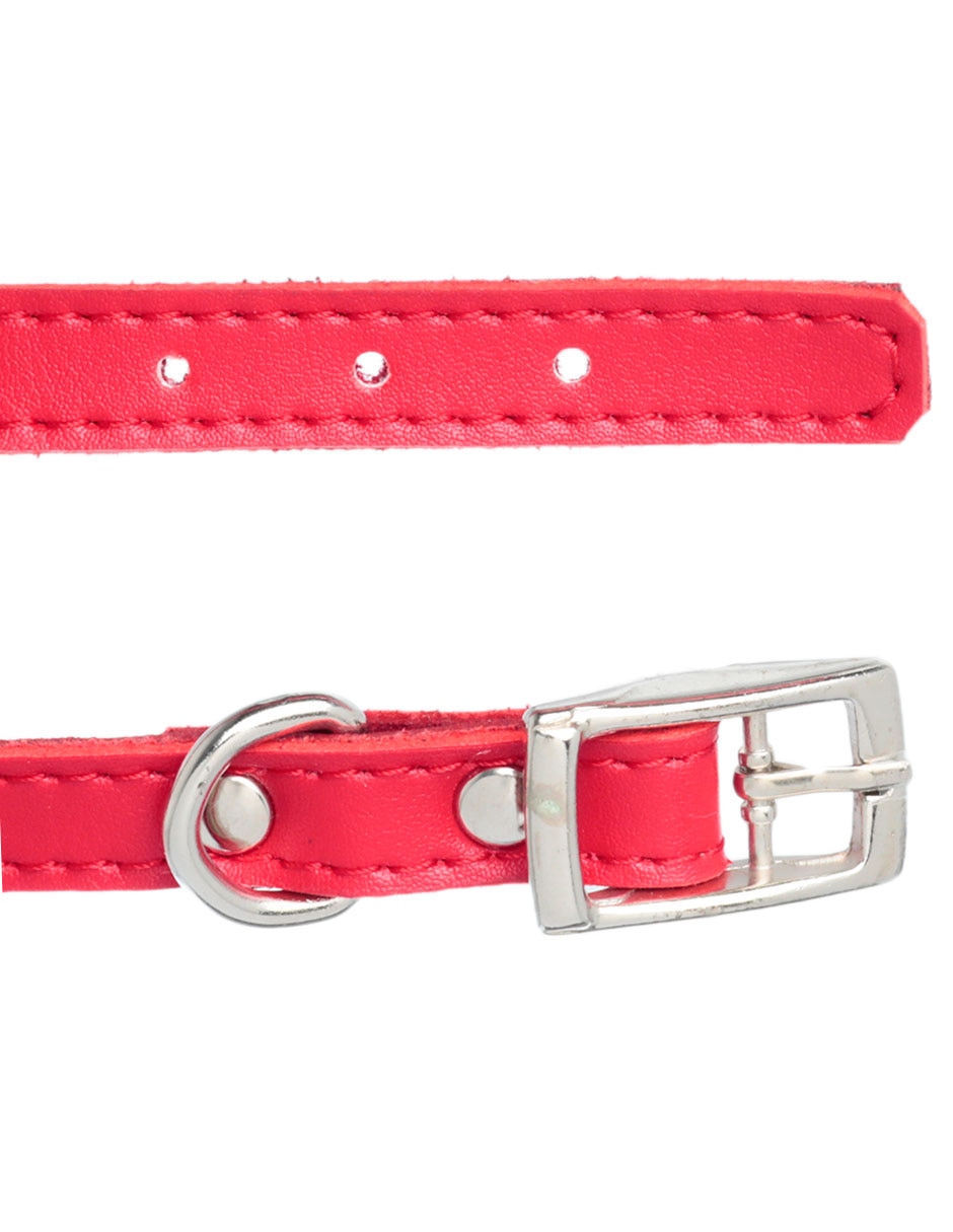 Collar de piel para perro 2