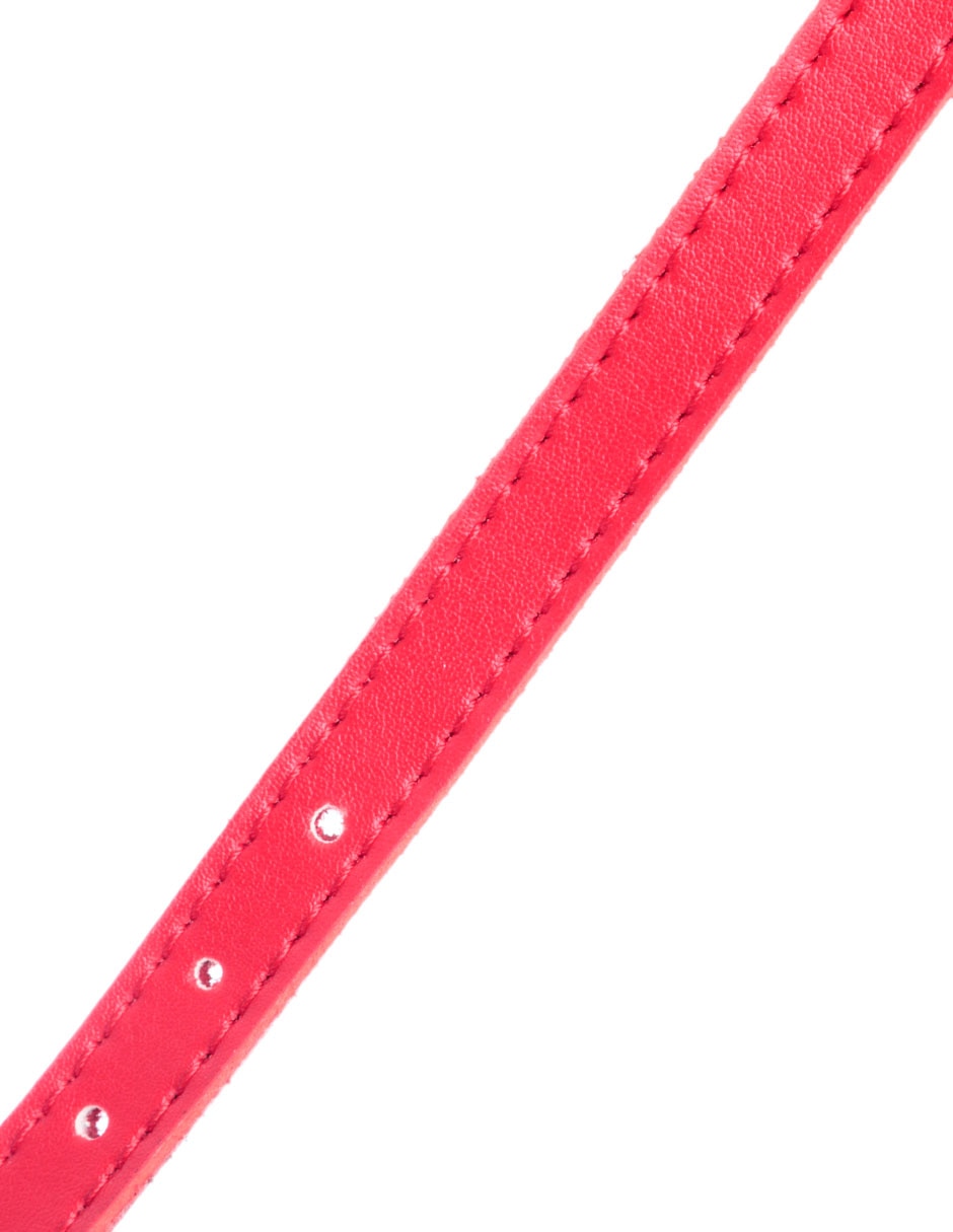 Collar de piel para perro 4