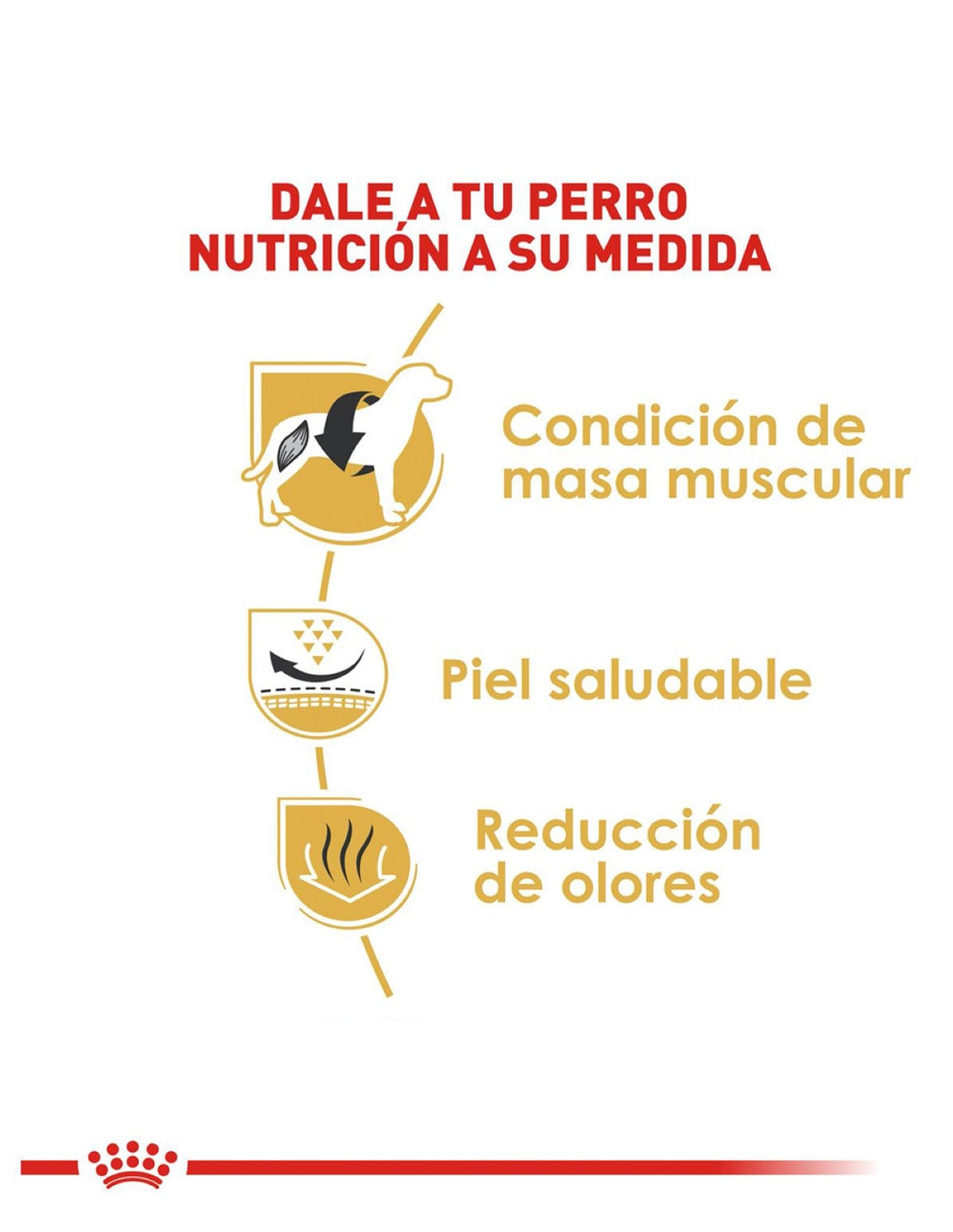 Croqueta de pollo para perro raza pequeña etapa adulto contenido individual 7.7 kg 5
