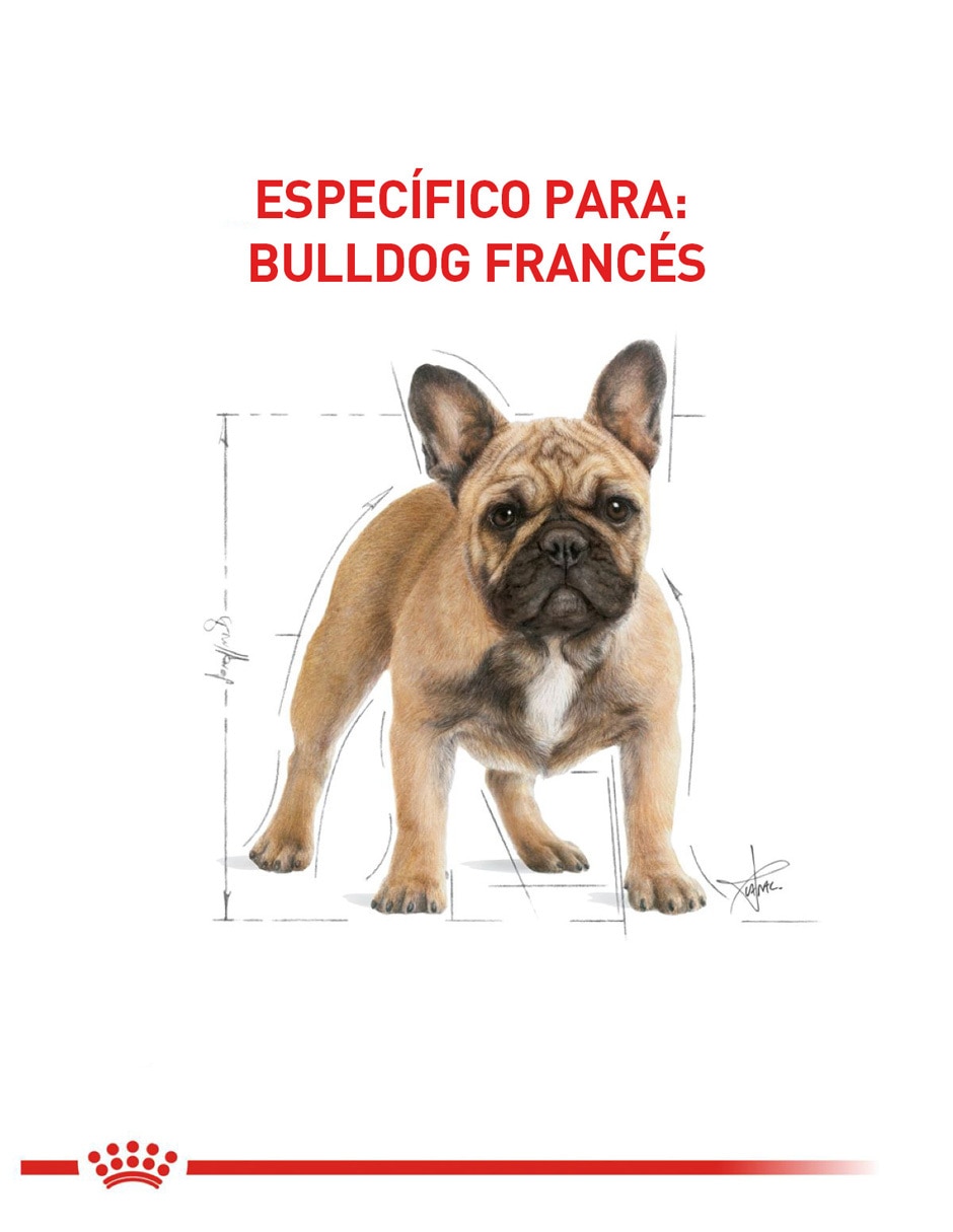 Croqueta de pollo para perro raza pequeña etapa adulto contenido individual 7.7 kg 6