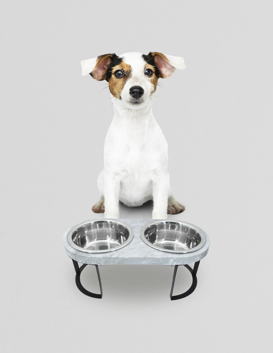 Plato para perro 750 ml 5
