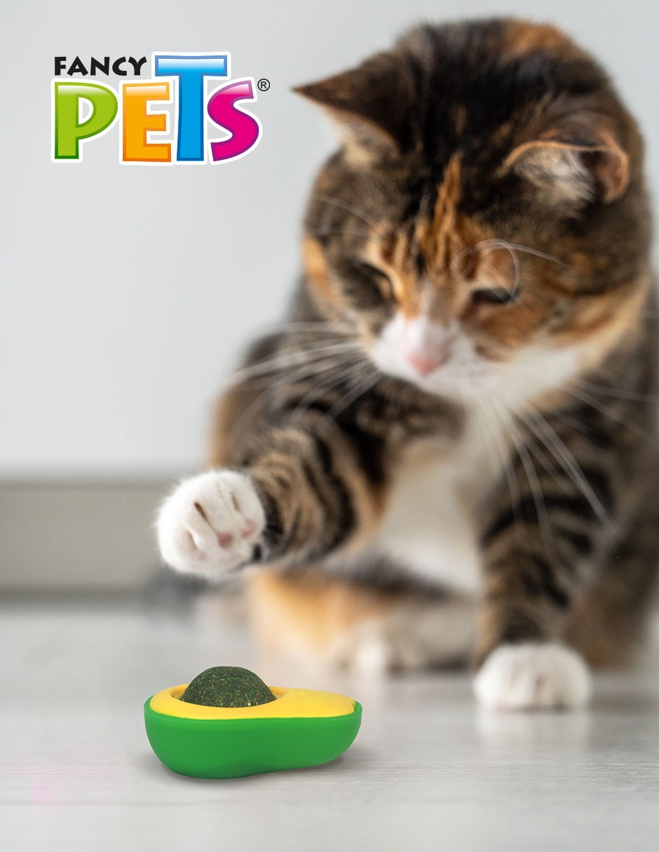 Juguete para gato Aguacate 3