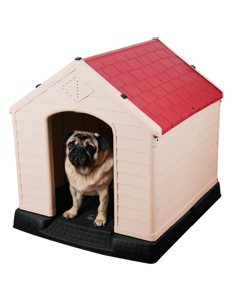 Casa para perro