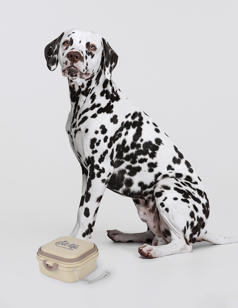 Contenedor para mascota Zoopet