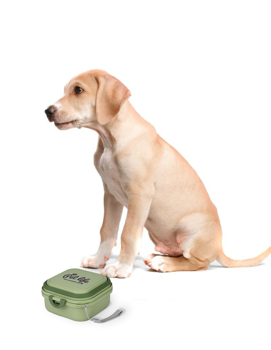 Contenedor para mascota 7