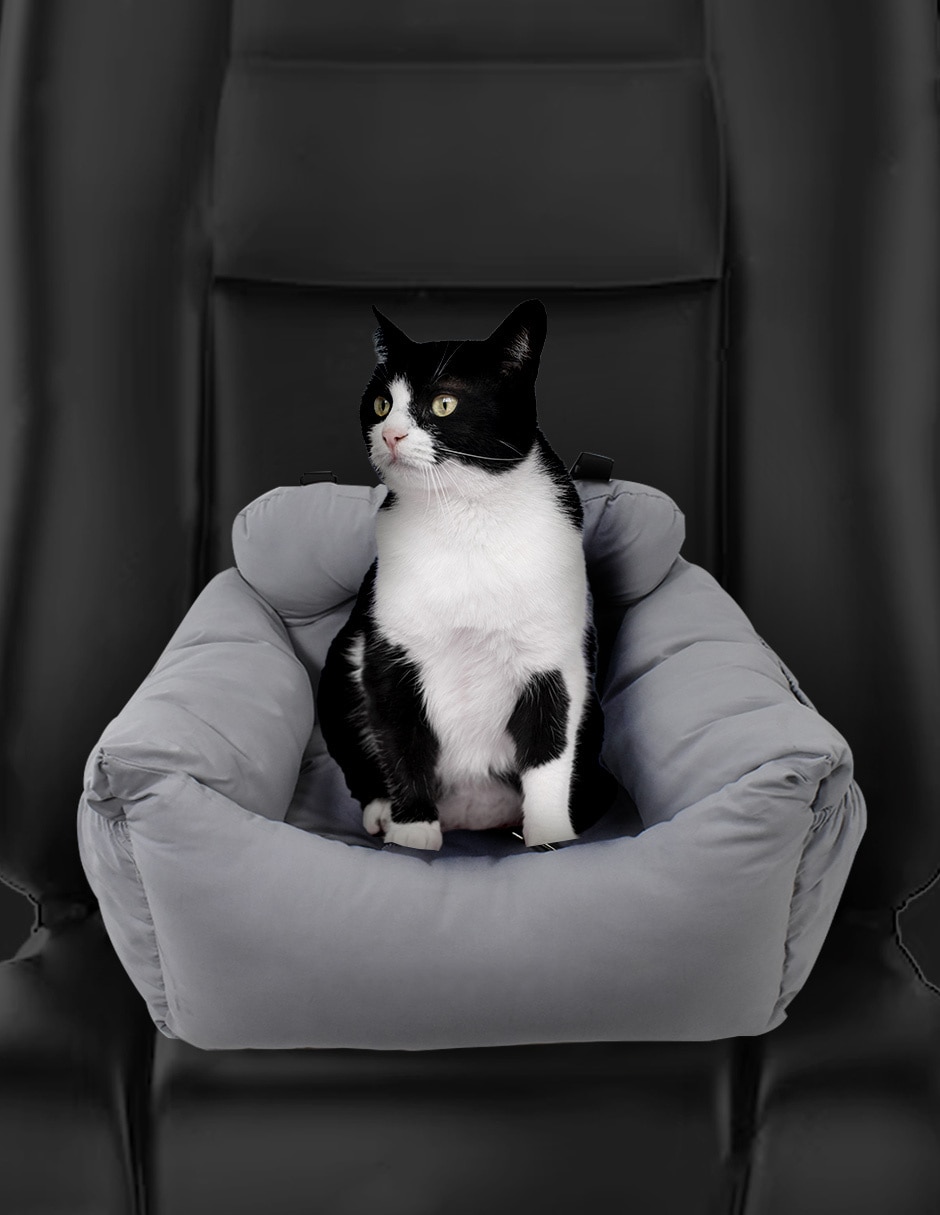 Autoasiento para mascota 5