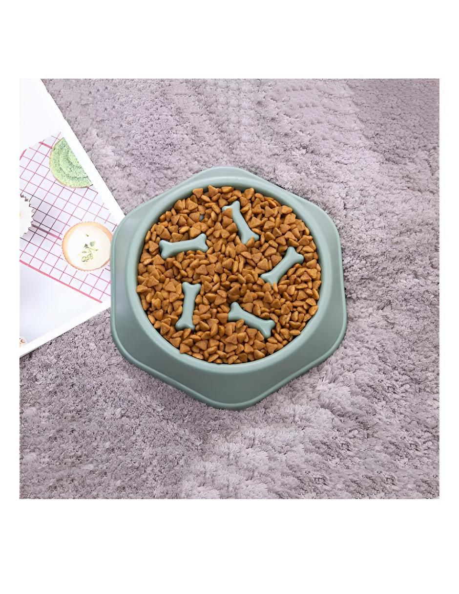 Plato para perro 2