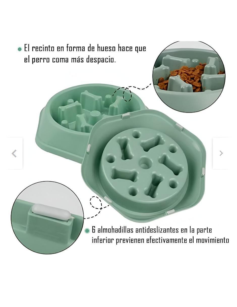 Plato para perro 3