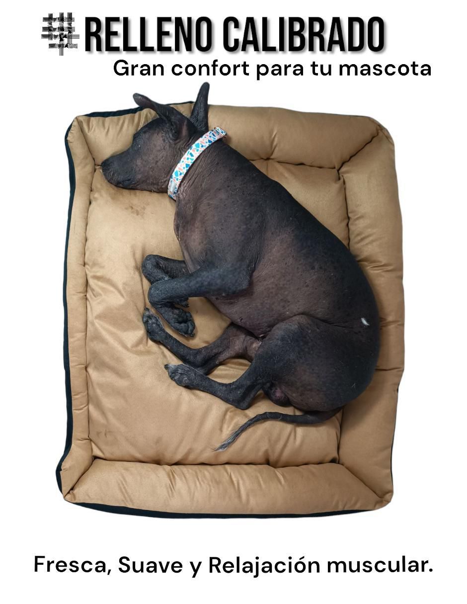 Cama "para" perro lunics