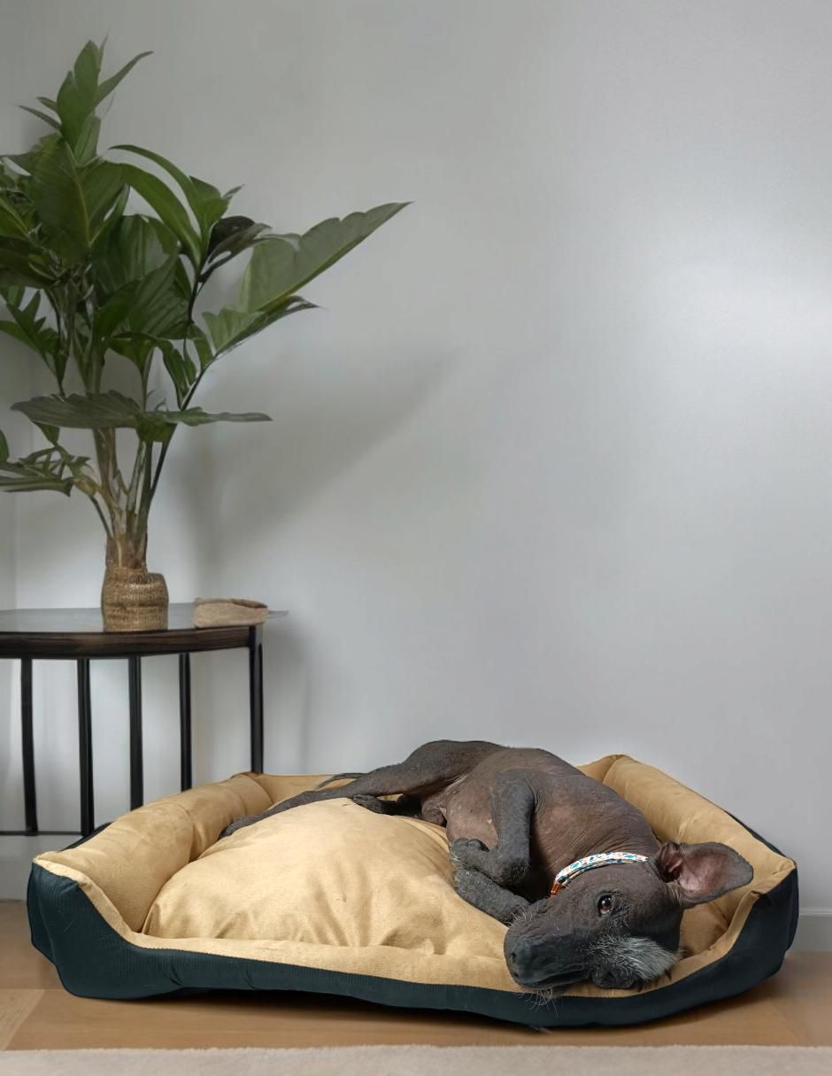 Cama "para" perro lunics