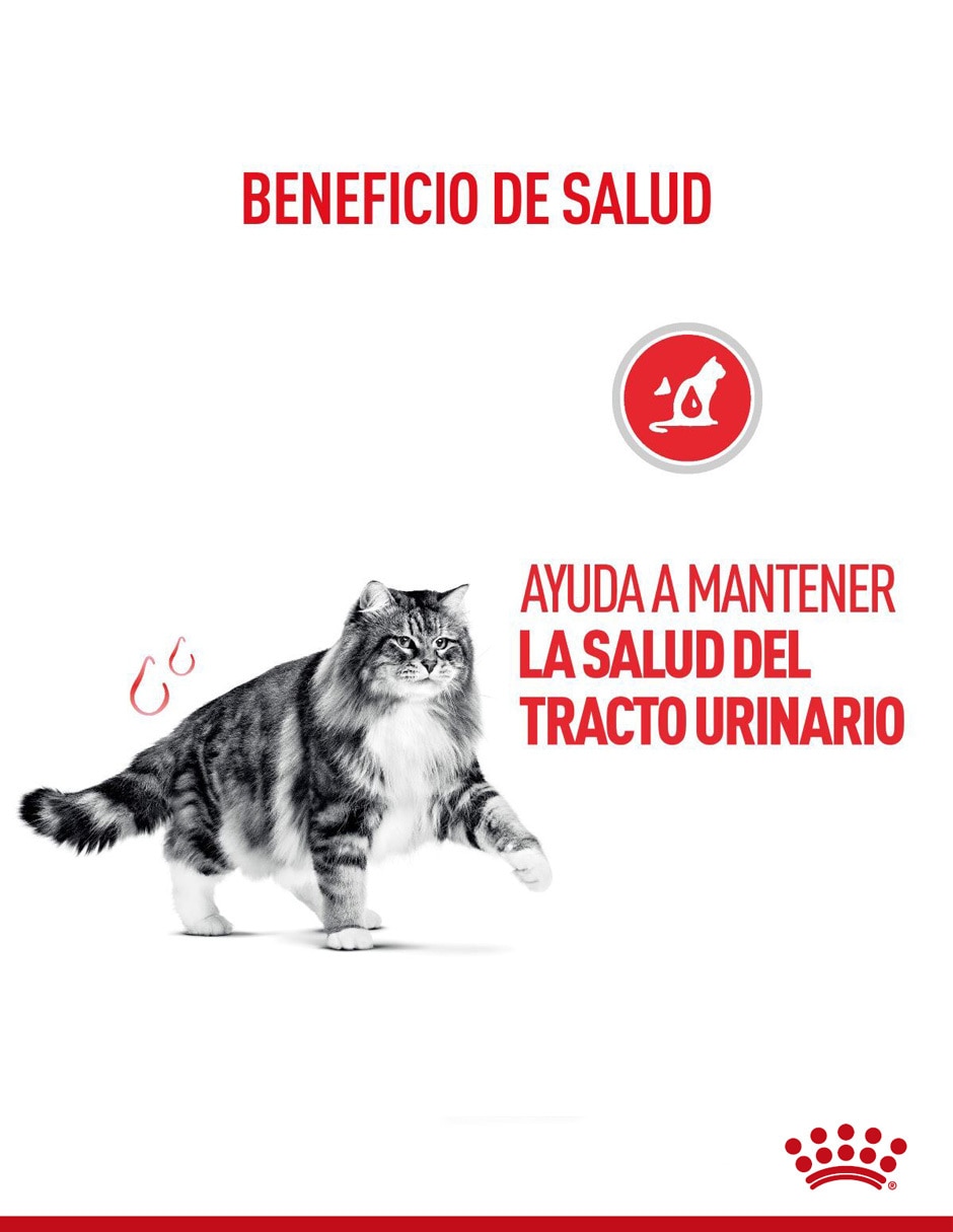 Croqueta para gato etapa adulto contenido 3.5 kg 2