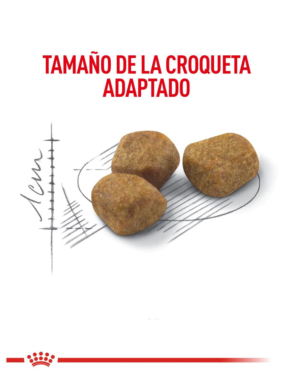 Croqueta para gato etapa senior contenido 150 g 4