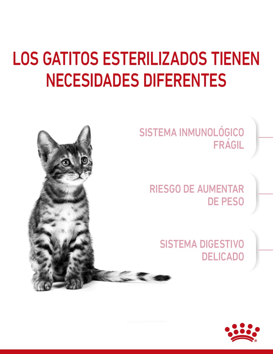 Croqueta para gato etapa cachorro contenido 1.1 kg 3