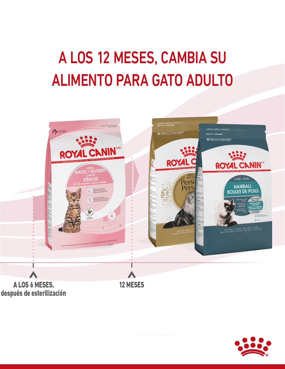 Croqueta para gato etapa cachorro contenido 1.1 kg 5