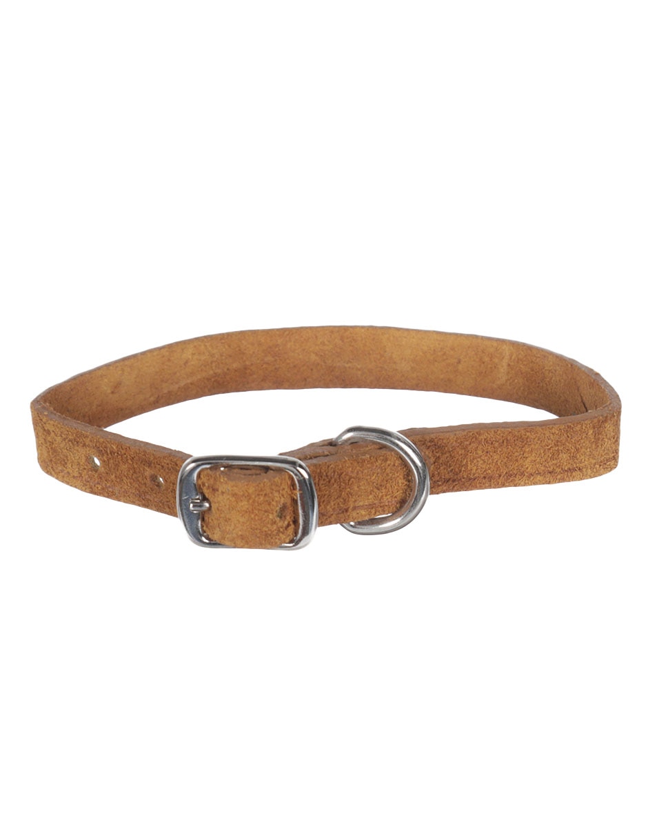 Collar de piel para gato 3