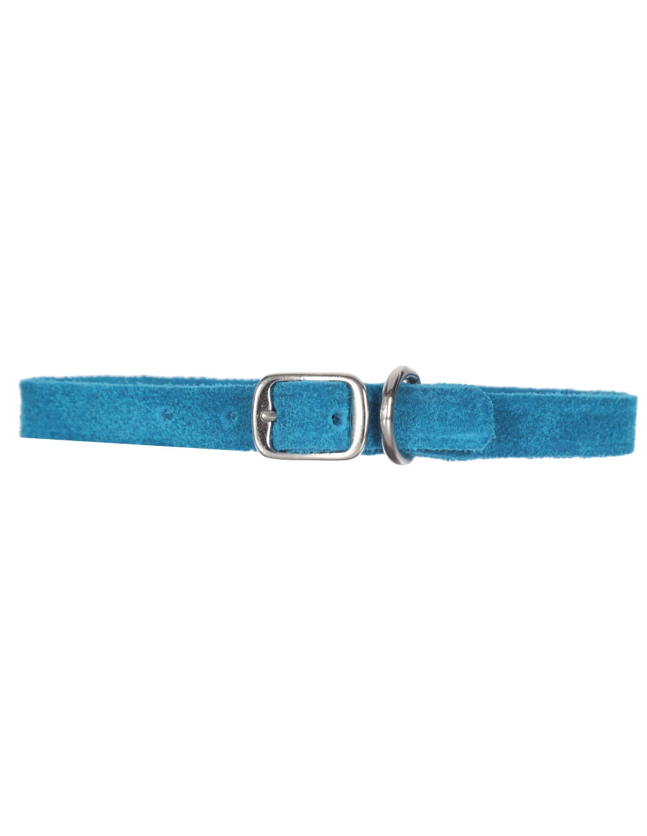 Collar de piel para gato