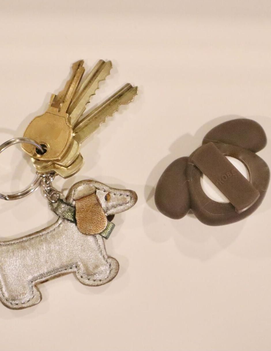 Collar para perro 4