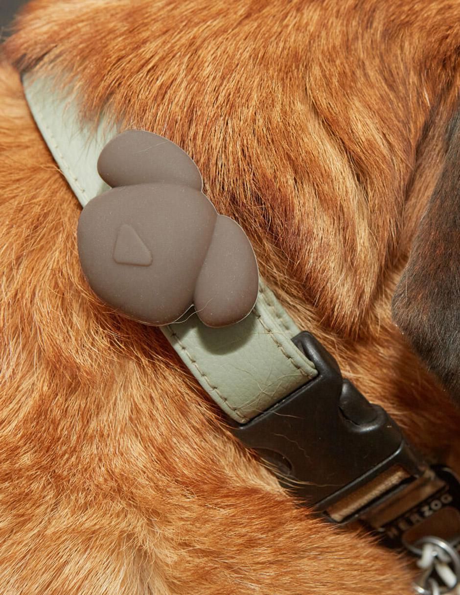 Collar para perro 6