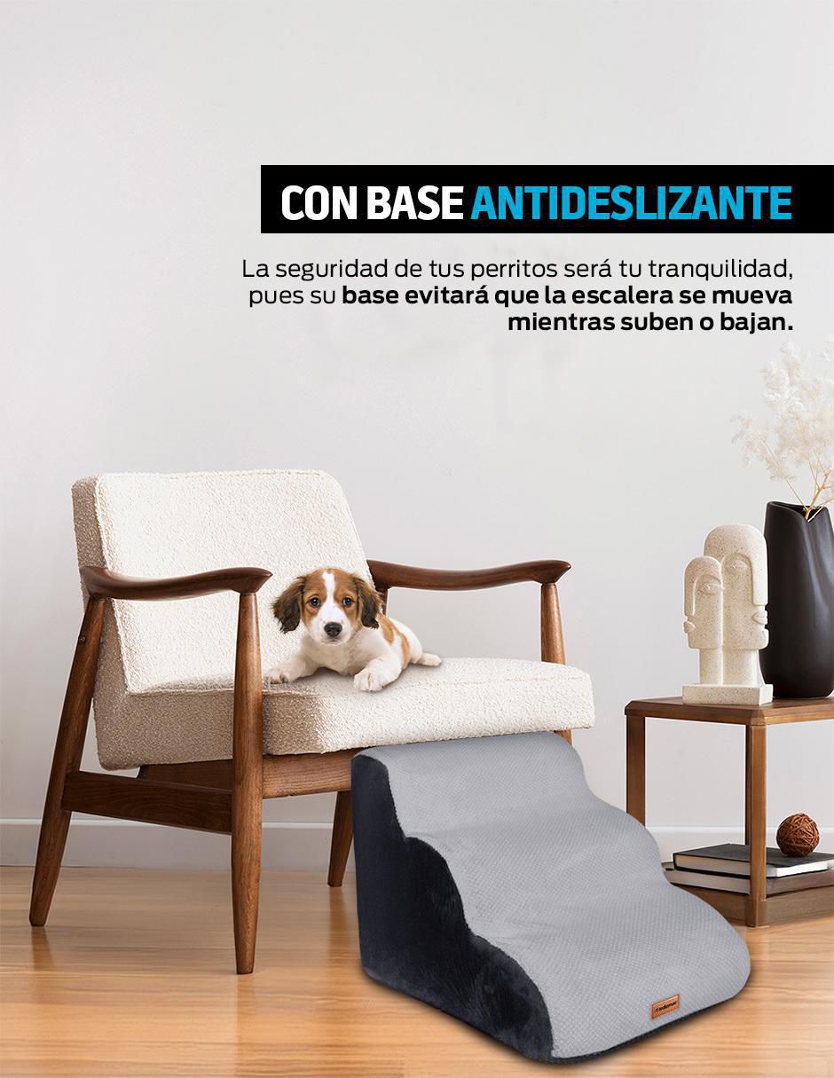 Escalera para perro 4