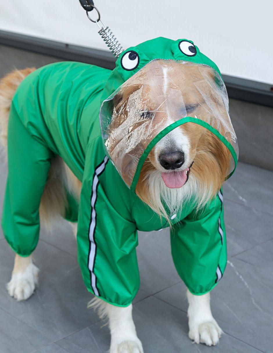 Impermeable para perro Accesorios 3