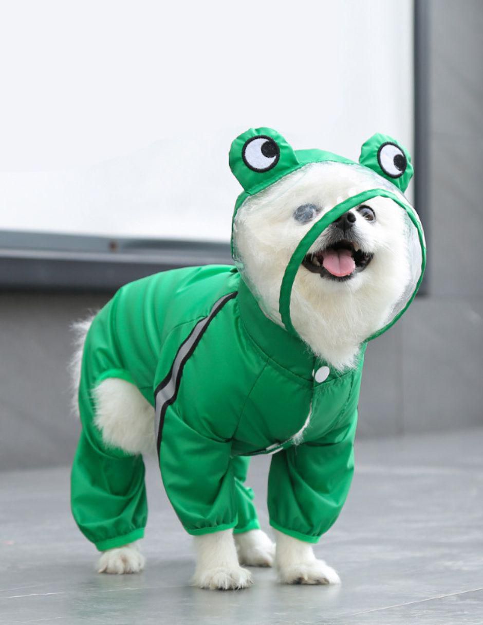 Impermeable para perro Accesorios 4