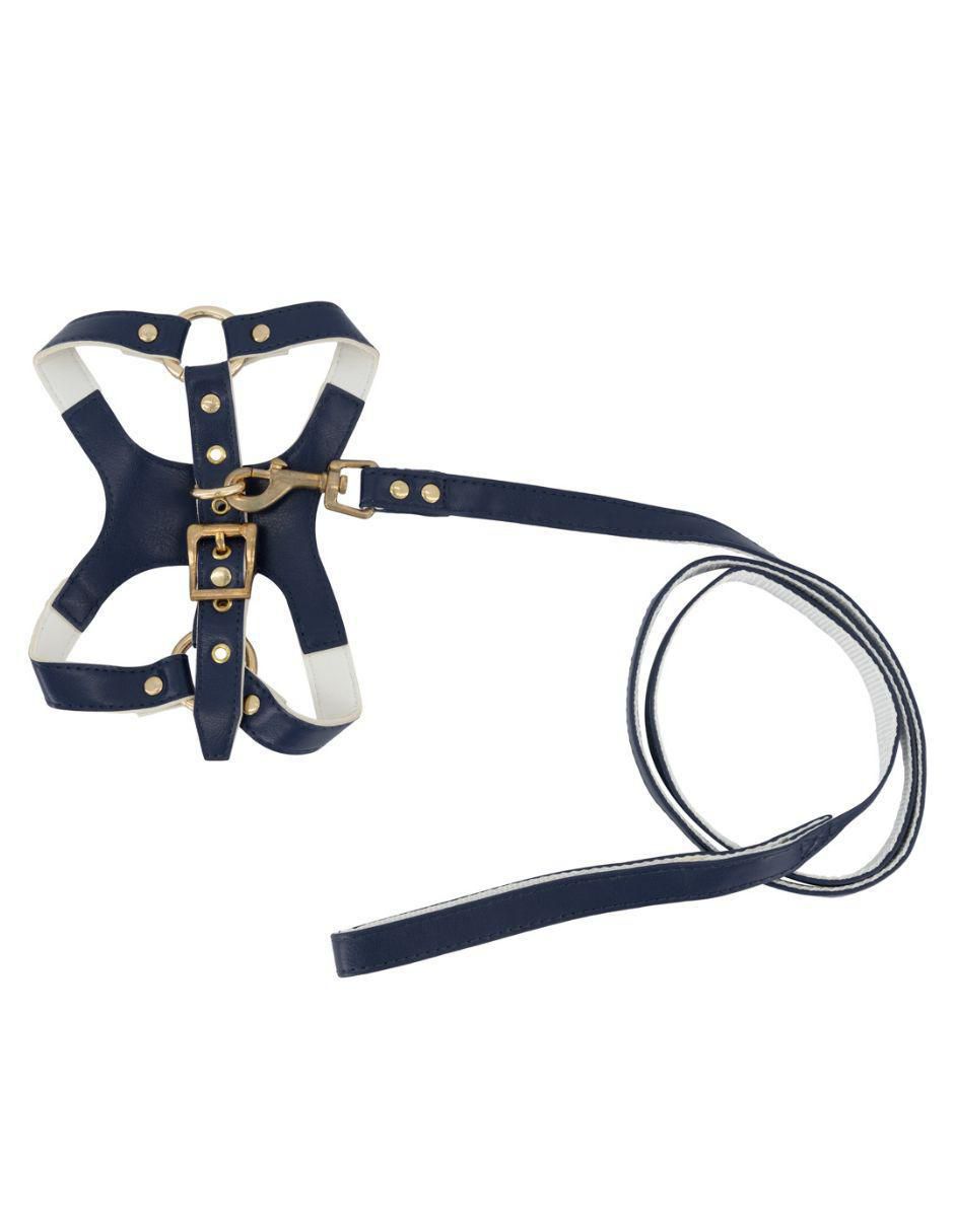 Collar decorativo para perro Accesorios