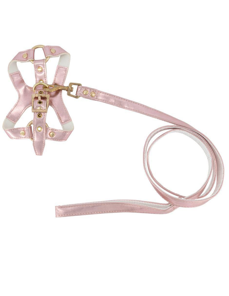 Collar decorativo para perro Accesorios Collar decorativo para perro Accesorios